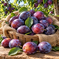 Сливы